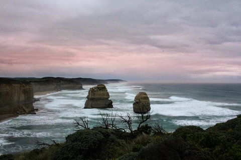 Full-Day Great Ocean Road And 12 Apostles Sunset Tour From Melbourne - Accommodation Directory 25