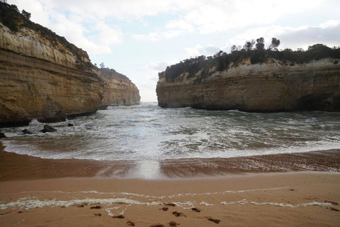 Full-Day Great Ocean Road And 12 Apostles Sunset Tour From Melbourne - Accommodation Directory 5