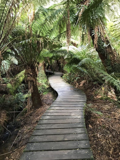 Full-Day Great Ocean Road And 12 Apostles Sunset Tour From Melbourne - Accommodation Directory 8