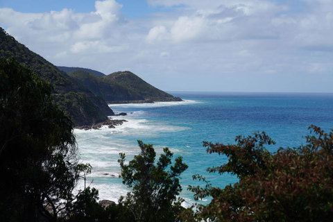Full-Day Great Ocean Road And 12 Apostles Sunset Tour From Melbourne - Accommodation Directory 4