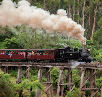 Melbourne Combo Great Ocean Road Puffing Billy Moonlit Sanctuary  Penguins - Accommodation Directory