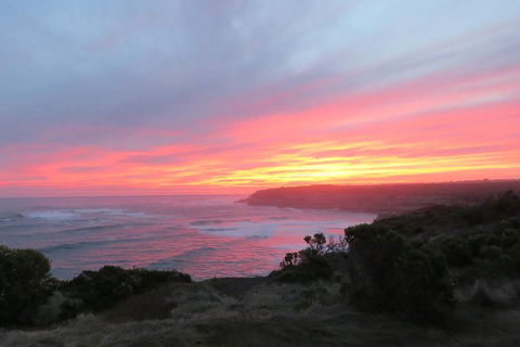 3-Day Small-Group Great Ocean Road And Australian Wildlife Tour From Melbourne - Accommodation Directory 6