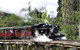 Dandenong Ranges & Puffing Billy - thumb 0