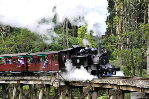 Dandenong Ranges & Puffing Billy - Accommodation Directory 0