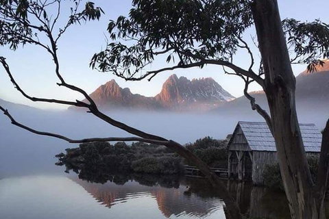 Cradle Mountain Day Tour From Launceston Including Lunch - Accommodation Directory 7