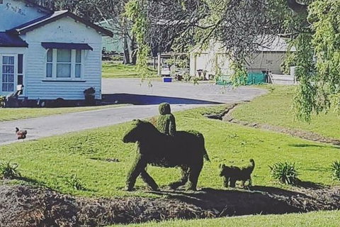Cradle Mountain Day Tour From Launceston Including Lunch - Accommodation Directory 5