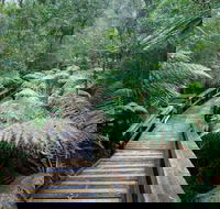 Small-group DayTour from Hobart Hastings Caves Huon Valley and Tahune AirWalk - Accommodation Directory