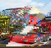 Hobart Hop-on Hop-off Bus Tour - Accommodation Directory