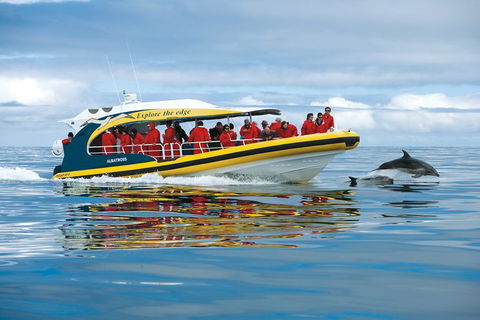 3-Hour Tasman Peninsula Wilderness Cruise From Port Arthur - Accommodation Directory 5
