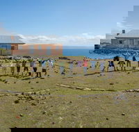 Maria Island Active Day Trip from Hobart - Accommodation Directory