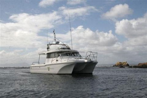 Bonnet Island Experience Departing From Strahan - Accommodation Directory 1