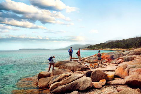 Great Walks Of Australia: 4-Day Freycinet Experience Walk - Accommodation Directory 0