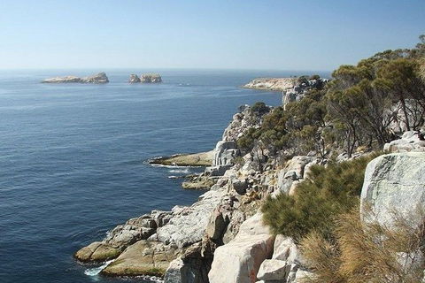 Great Walks Of Australia: 4-Day Freycinet Experience Walk - Accommodation Directory 10