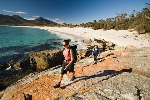 Great Walks Of Australia: 4-Day Freycinet Experience Walk - Accommodation Directory 5