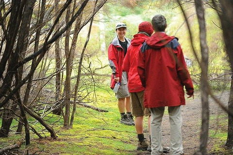 Great Walks Of Australia: 4-Day Freycinet Experience Walk - Accommodation Directory 7