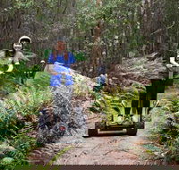 Hollybank Wilderness Adventures - Segway Tour - Accommodation Directory