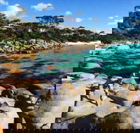 4-Day Tasmania East Coast Adventure from Launceston to Hobart Including Bay of Fires Wineglass Bay Bruny Island and Port Arthu - Accommodation Directory