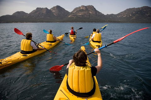The Freycinet Paddle - Accommodation Directory 5