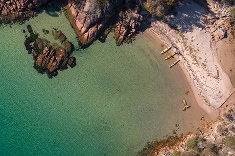 The Freycinet Paddle - Accommodation Directory 3