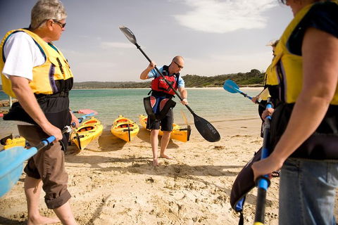 The Freycinet Paddle - Accommodation Directory 7