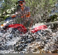 Quad Bike 2-Hour Adventure Freycinet National Park - Accommodation Directory
