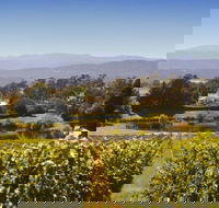 Josef Chromy Wines Winery Tour Including Tasting and Lunch - Accommodation Directory
