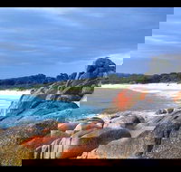 Bay of Fires Day Trip from Launceston - Accommodation Directory