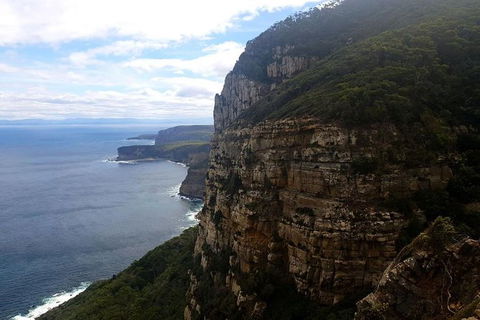 2-Day: Hobart Hiking Tour: Cape Raoul And Mount Field - Tarn Shelf - Accommodation Directory 7
