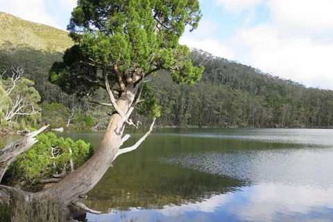 2-Day: Hobart Hiking Tour: Cape Raoul And Mount Field - Tarn Shelf - Accommodation Directory 3