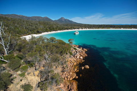 Wineglass Bay Cruise From Coles Bay - Accommodation Directory 5