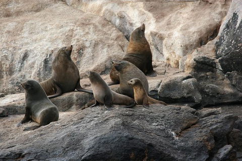 Wineglass Bay Cruise From Coles Bay - Accommodation Directory 6