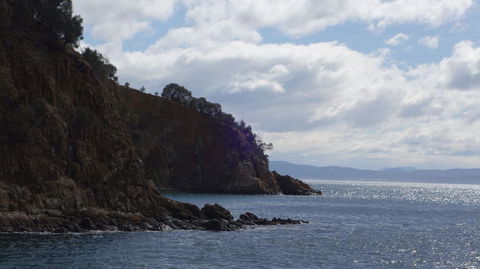 The Peppermint Bay Lunch Cruise From Hobart - Accommodation Directory 3