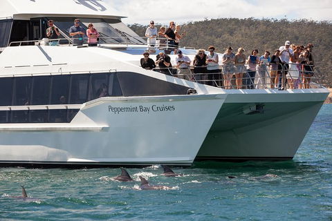 The Peppermint Bay Lunch Cruise From Hobart - Accommodation Directory 0