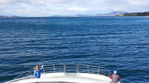 The Peppermint Bay Lunch Cruise From Hobart - Accommodation Directory 2