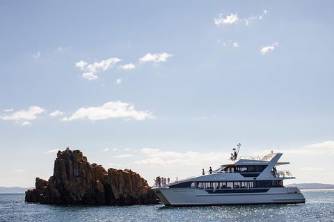 The Peppermint Bay Lunch Cruise From Hobart - Accommodation Directory 1
