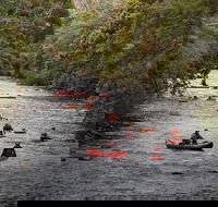 Meander Wilderness Experiences - Accommodation Directory