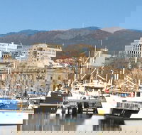 Private Mt Wellington Richmond Bonorong Wildlife Sanctuary Tour from Hobart - Accommodation Directory