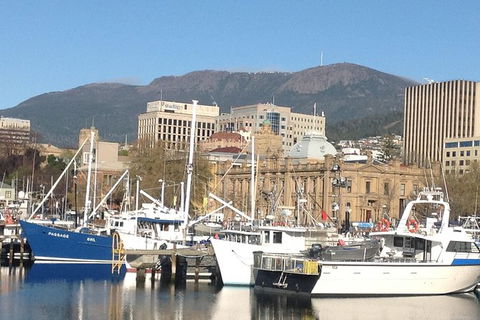 Private Mt Wellington, Richmond, Bonorong Wildlife Sanctuary Tour From Hobart - Accommodation Directory 0