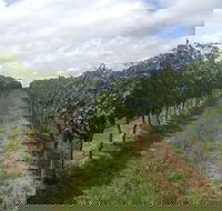 Coal River Valley  Hobart food  wine grazing tour - Accommodation Directory