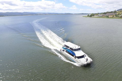 2.5 Hour Afternoon Discovery Cruise Including Cataract Gorge Departs At 1: 30 Pm - Accommodation Directory 1
