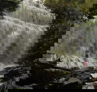 Guided Shore Excursion Mt Field National Park Salmon Ponds Bonorong Wildlife - Accommodation Directory