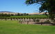 Barossa Valley With Hahndorf Tour From Adelaide - thumb 3