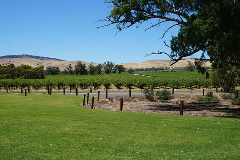 Barossa Valley With Hahndorf Tour From Adelaide - Accommodation Directory 3