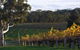 Barossa Valley With Hahndorf Tour From Adelaide - thumb 0