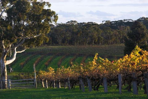 Barossa Valley With Hahndorf Tour From Adelaide - Accommodation Directory 0