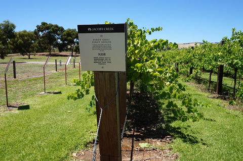 Barossa Valley With Hahndorf Tour From Adelaide - Accommodation Directory 5