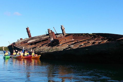 Adelaide Dolphin Sanctuary And Ships Graveyard Kayak Tour - Accommodation Directory 1