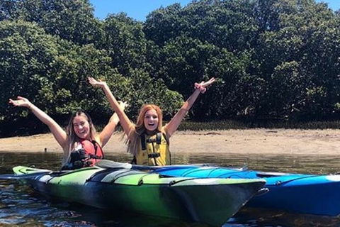 Adelaide Dolphin Sanctuary And Ships Graveyard Kayak Tour - Accommodation Directory 4