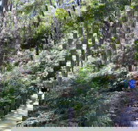 Self-Guided Waterfall Gully to Mount Lofty Hike from Adelaide - Accommodation Directory