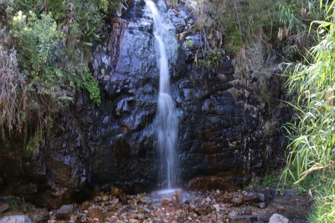 Self-Guided Waterfall Gully To Mount Lofty Hike From Adelaide - Accommodation Directory 2